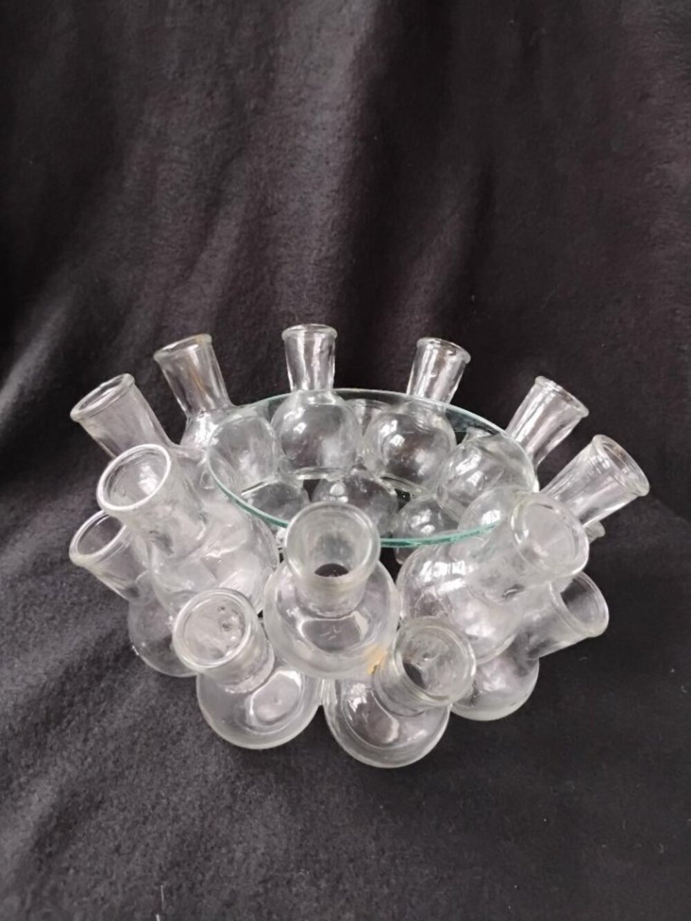 Cluster glass bud vase/propagation station